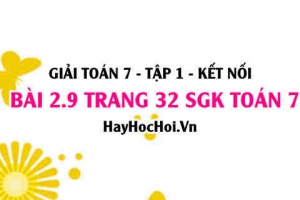 Giải bài 2.9 trang 32 Toán 7 Tập 1 SGK Kết nối tri thức